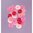 Knöpfe 11 - 15 mm pink, altrosa, rosa, weinrot 4404
