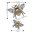 Sizzix Thinlits Die Set Bienen, Bee 663852 Lisa Jones