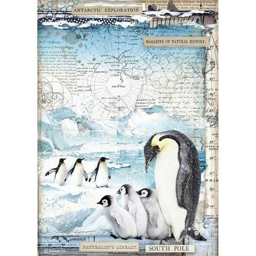 Stamperia Decoupage Rice Paper A4 Pinguin Penguins DFSA4479